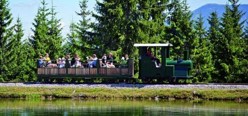 mariazell buergeralpe holzknechtland